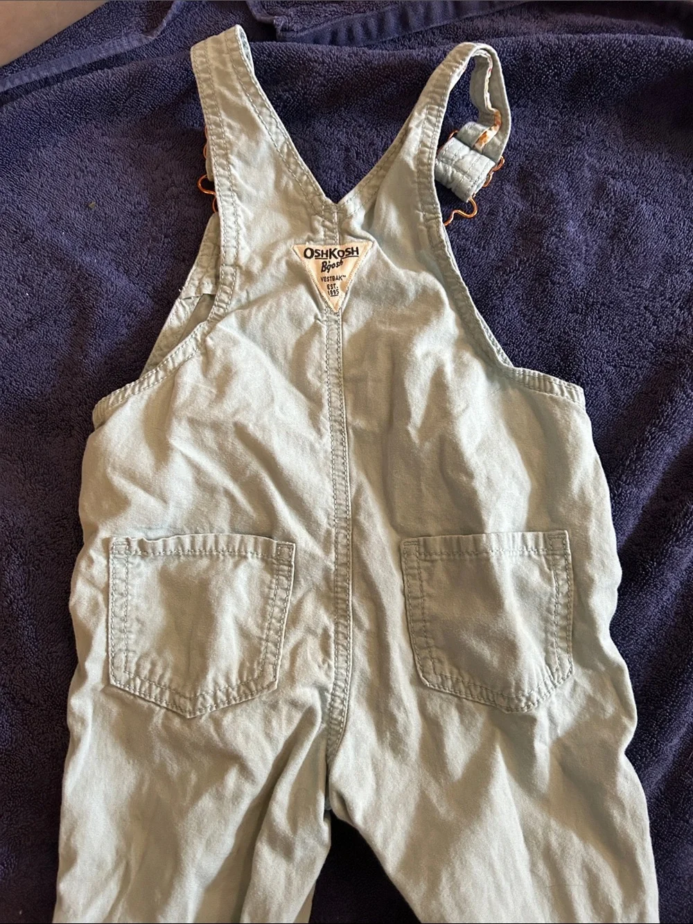 OshKosh B'gosh Light Blue Floral-Lined Girls' Overalls Shorts